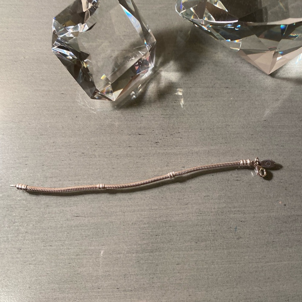 Pandora bracelet for charms
